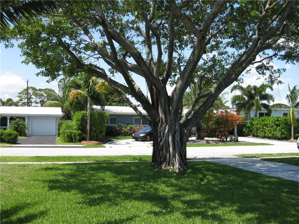 North Andrews Gardens - Residential