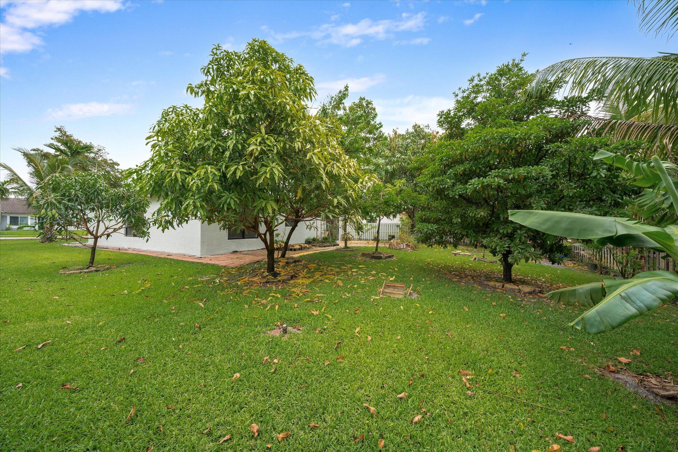 BRIARGATE PLAT - Residential