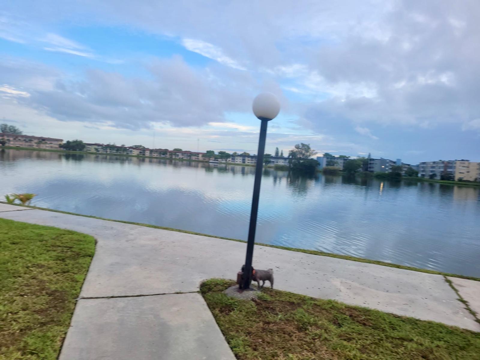 1551 NE Miami Gardens Drive 216