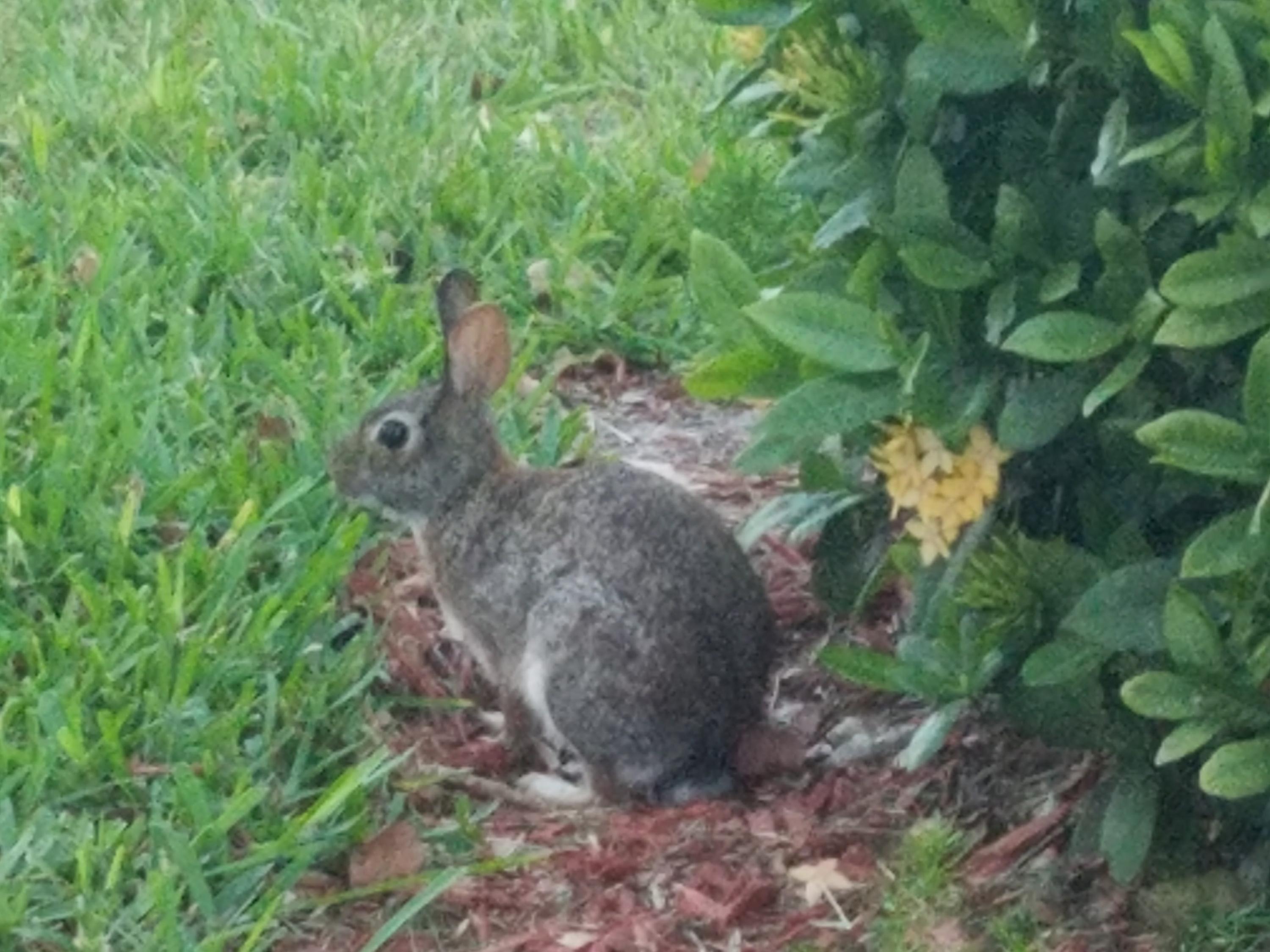 VISTA DEL LAGO CONDO - Residential