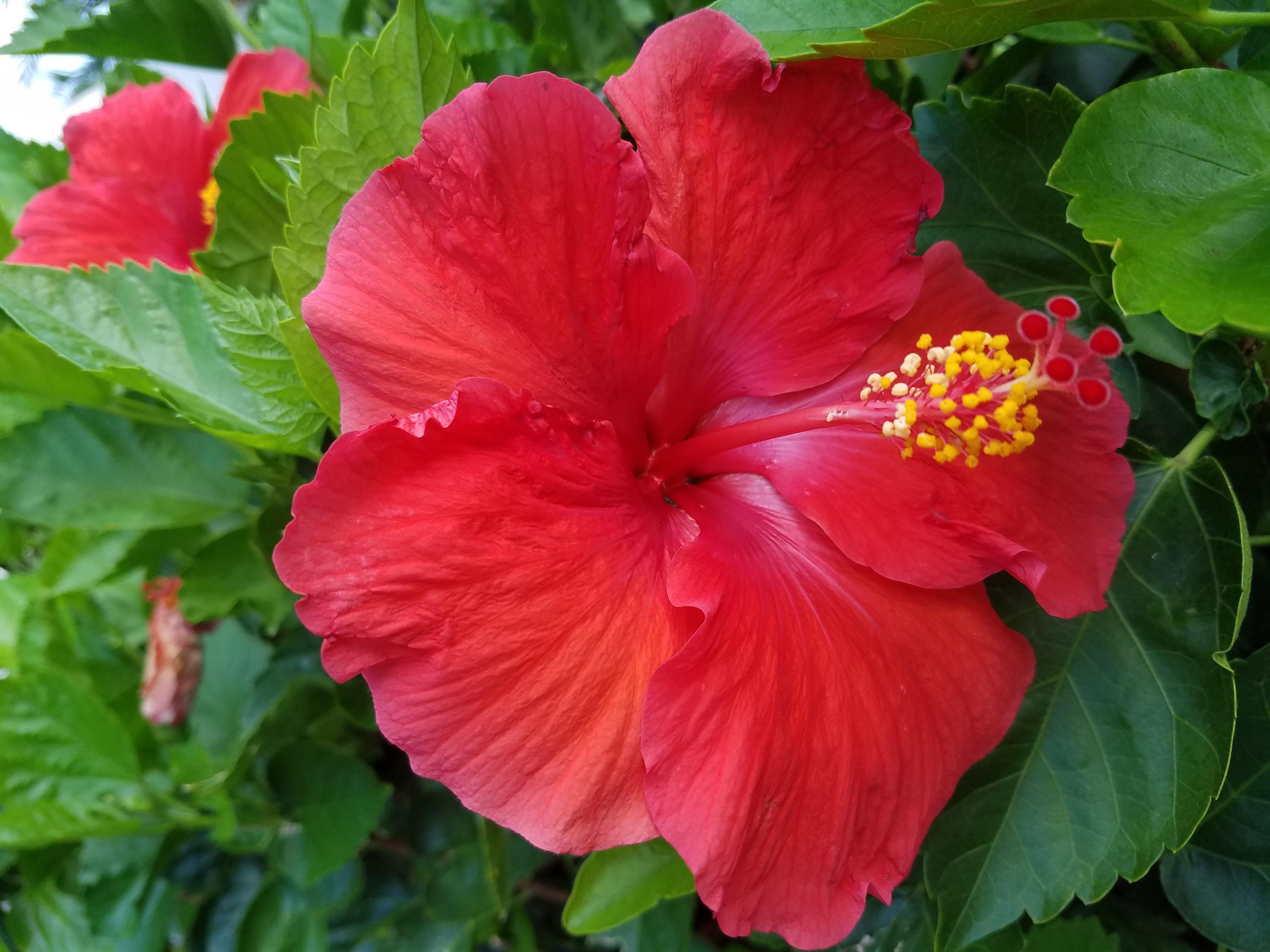 VISTA DEL LAGO CONDO - Residential