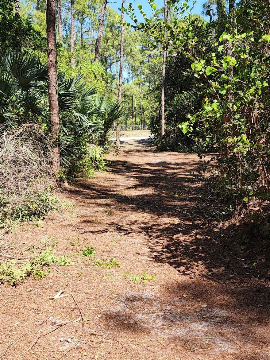 Beautiful uspoiled 1.34 acre lot.  Featuring 2 stalls and paddock (Rent for Income)Large 12X24 shed (Store belongings free while you build)corner lot, off paved road on deadend street,  withmature pine and palms trees that's partially cleared.Equestrian community (horses and livestock welcome)Next to canal (land irigation)High and dry (no melaleuca trees)2 culverts (for circle drive)Excellent schools and shopping nearby.Close to Northlake for convient commuting