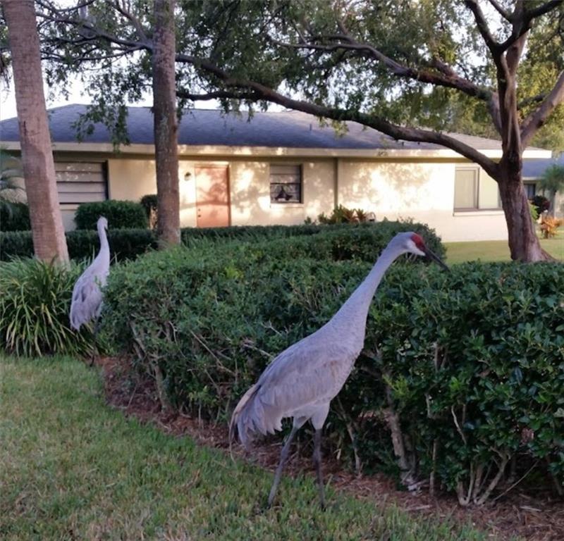 GLOUCESTER E CONDOMINIUM - Residential