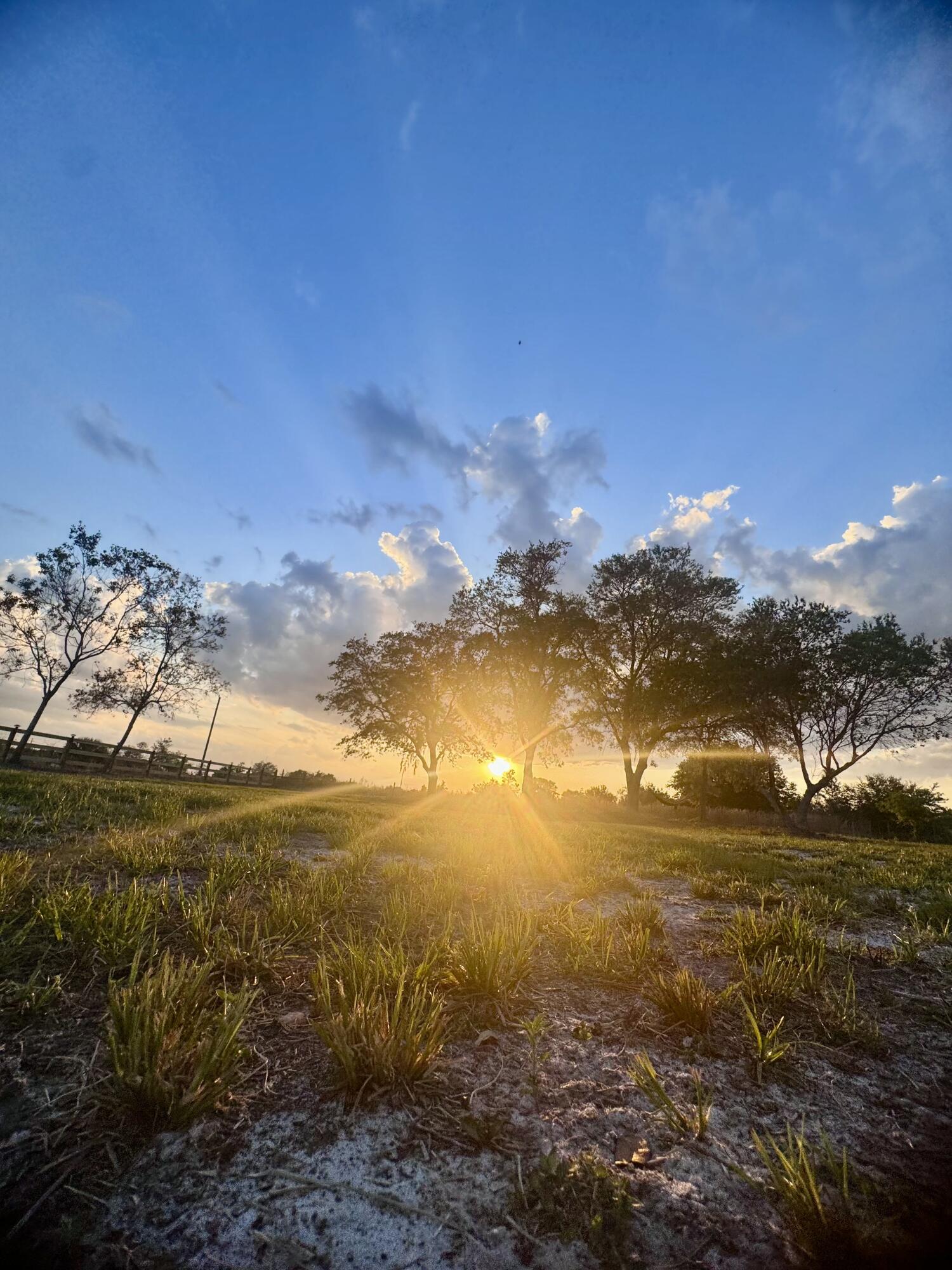 14769 NW 244th Street