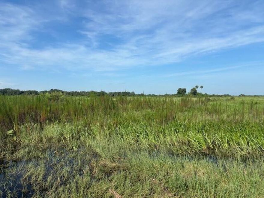 5 acres in Viking Estates. Close to the Kissimmee Prairie State Park. Bring your 4 -wheelers. This property is not only ideal for recreational uses such has camping, hunting and shooting, but it’s agricultural as well.