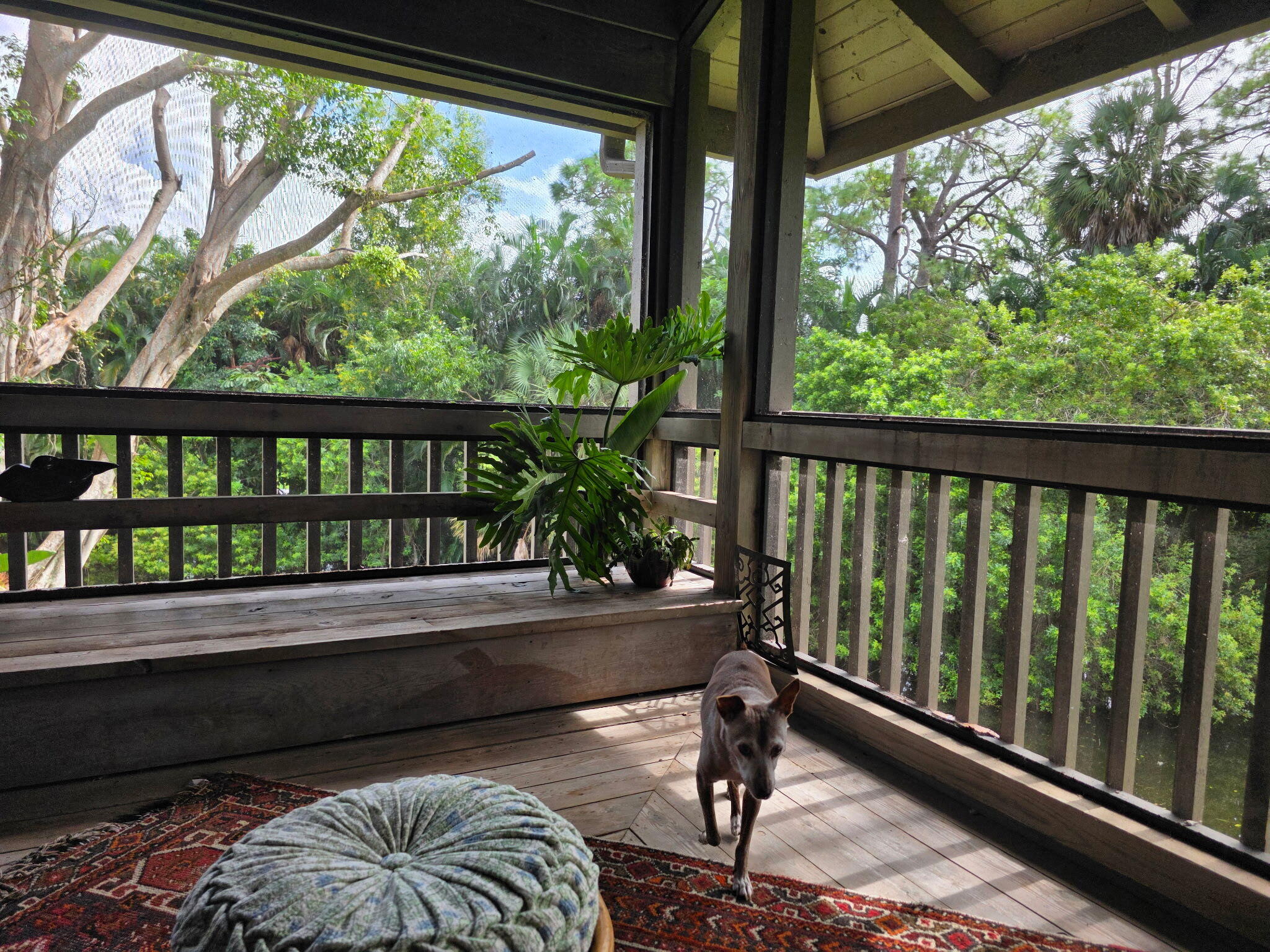 PLANTATION COLONY OF BOCA WEST CONDO - Residential