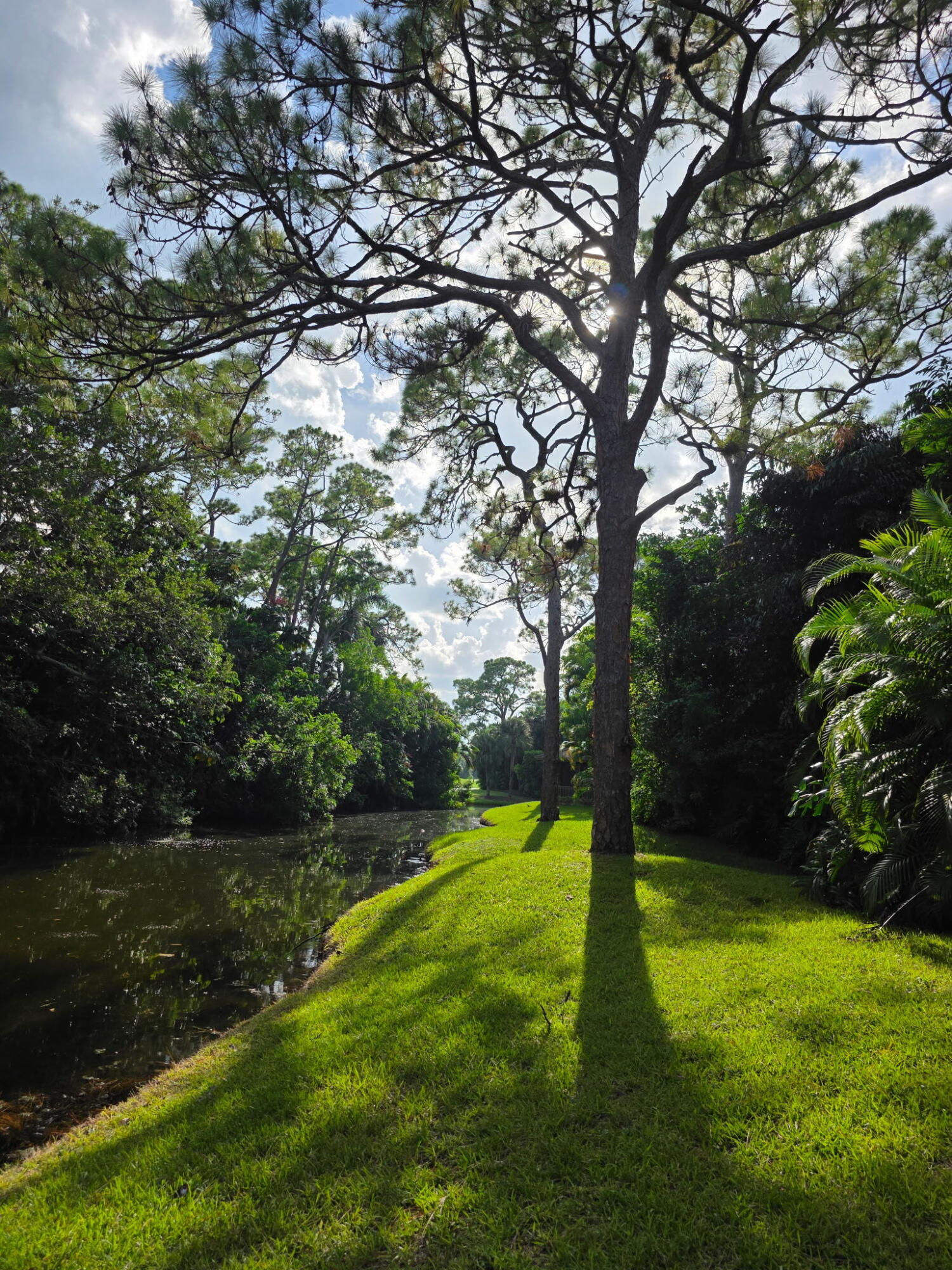 PLANTATION COLONY OF BOCA WEST CONDO - Residential