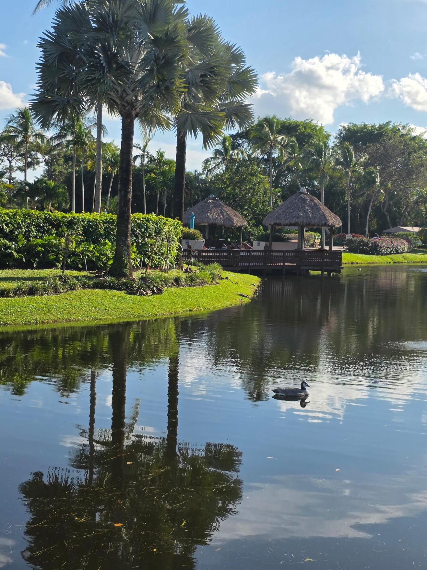 PLANTATION COLONY OF BOCA WEST CONDO - Residential