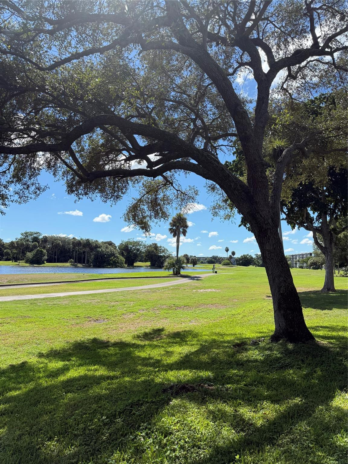 CYPRESS BLVD - Residential