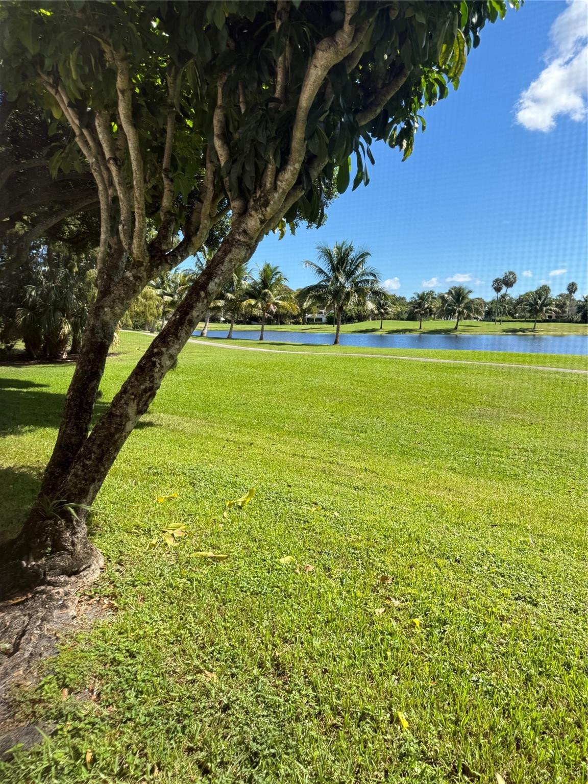 CYPRESS BLVD - Residential