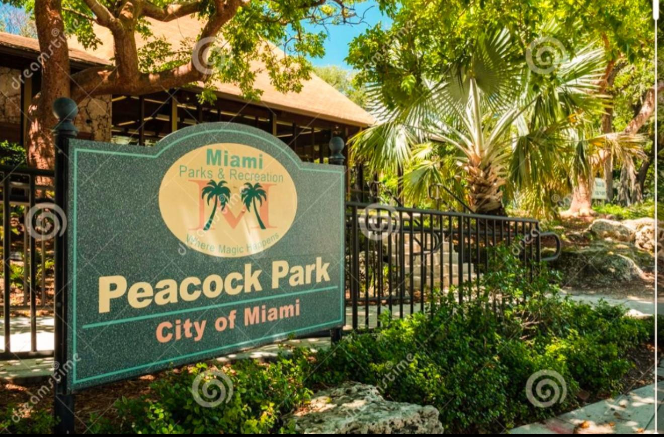 3025-3037 Elizabeth Condo - Residential