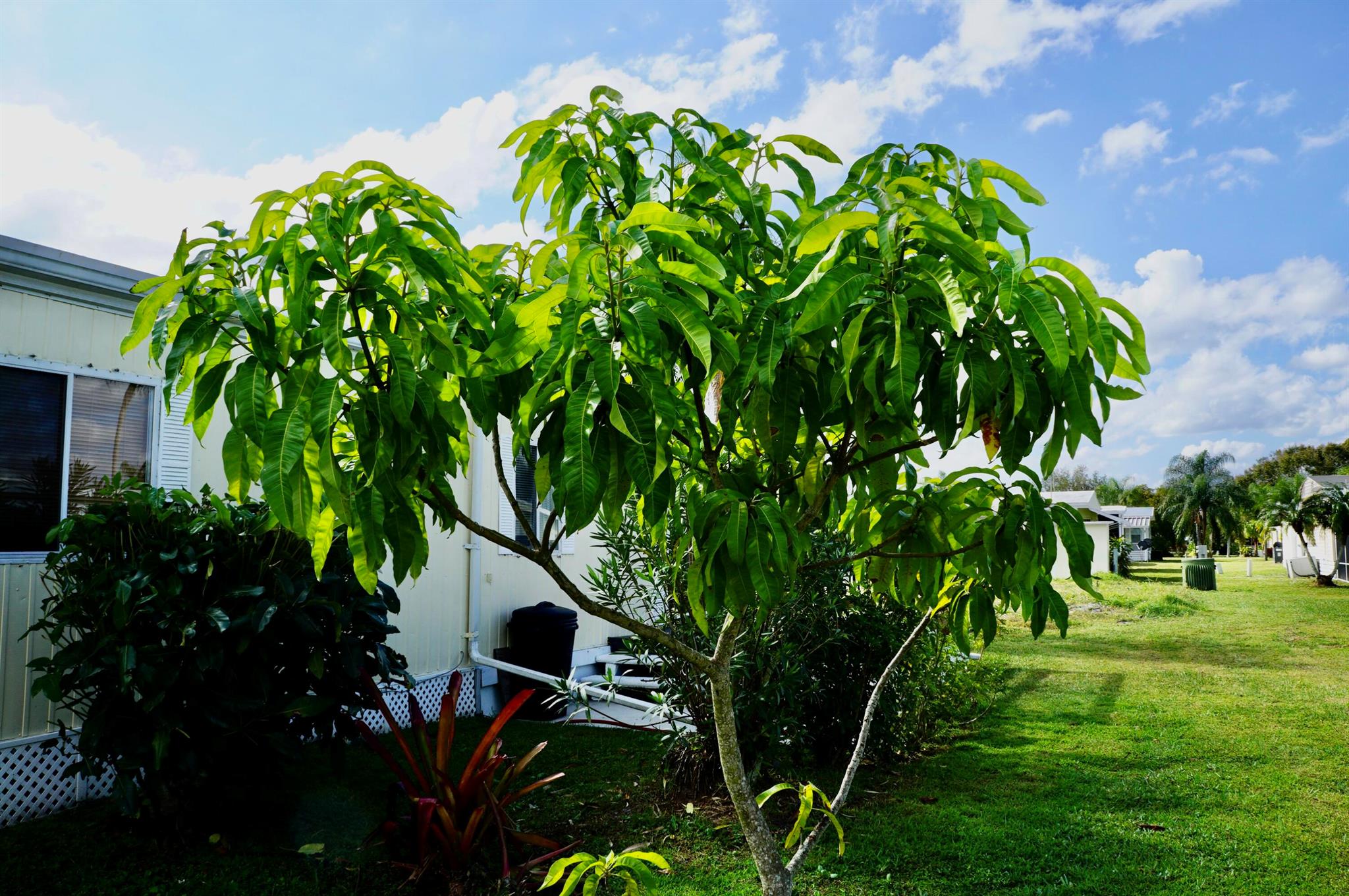 Spanish Lakes Riverfront - Residential
