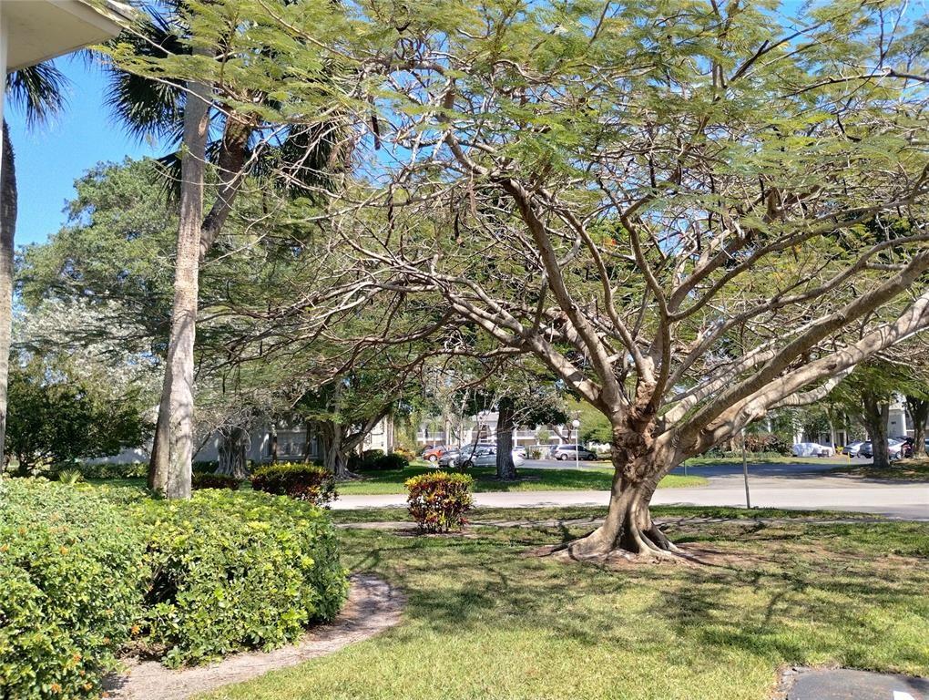 NASSAU - Residential