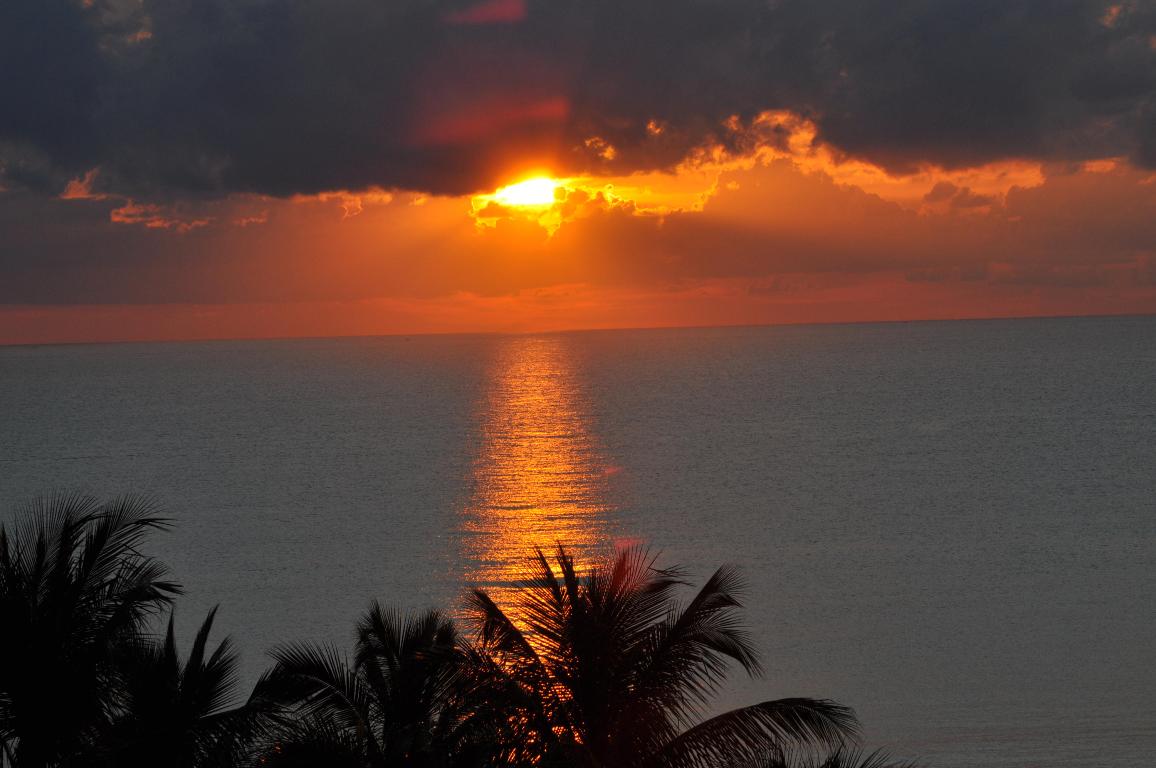 JUPITER BAY EAST CONDO - Residential