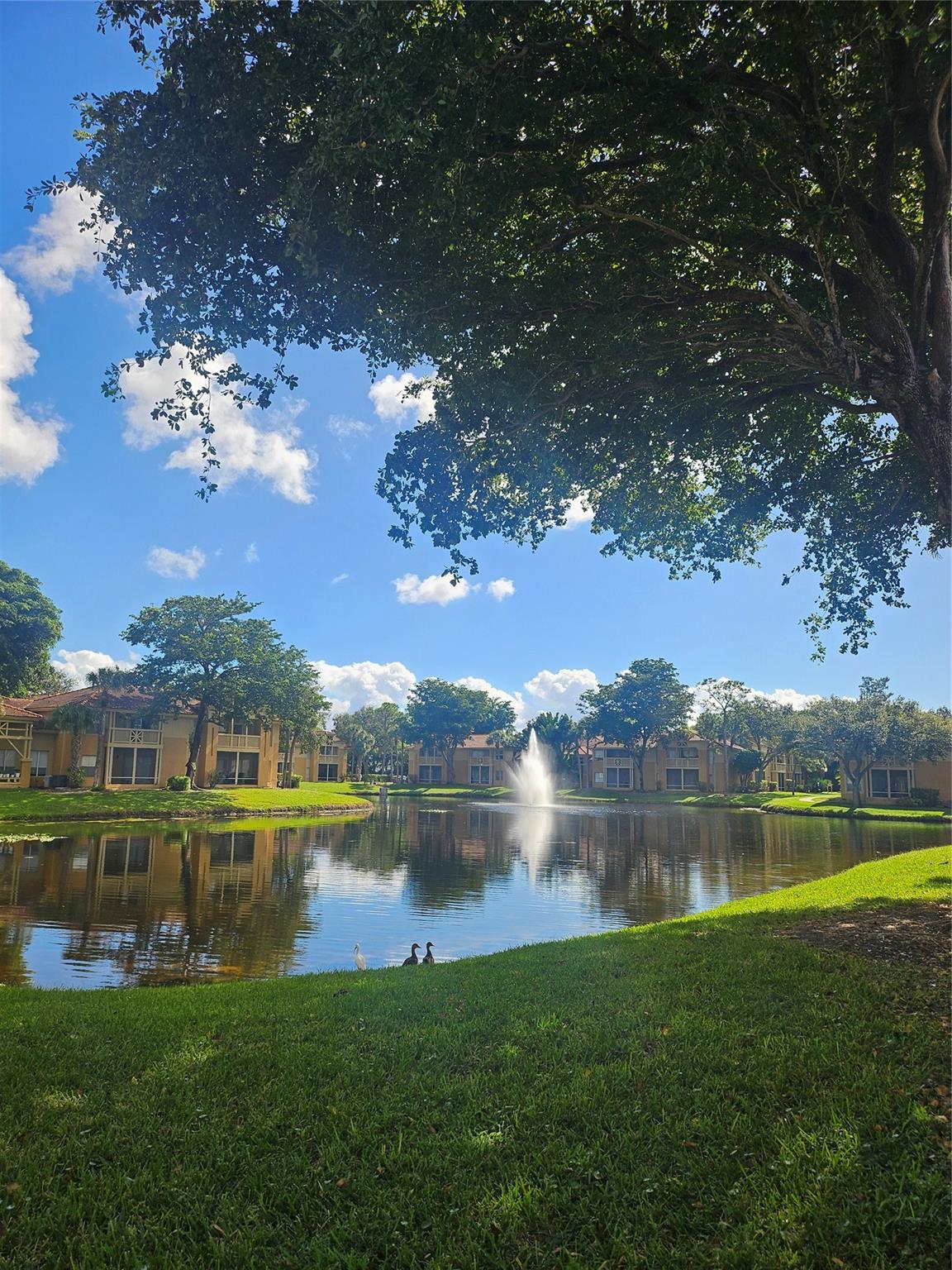Palm Lake Condo - Residential Lease