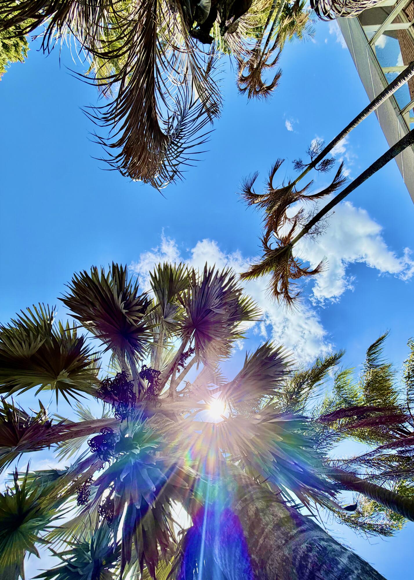 PORT ST LUCIE SECTION 10 - Residential