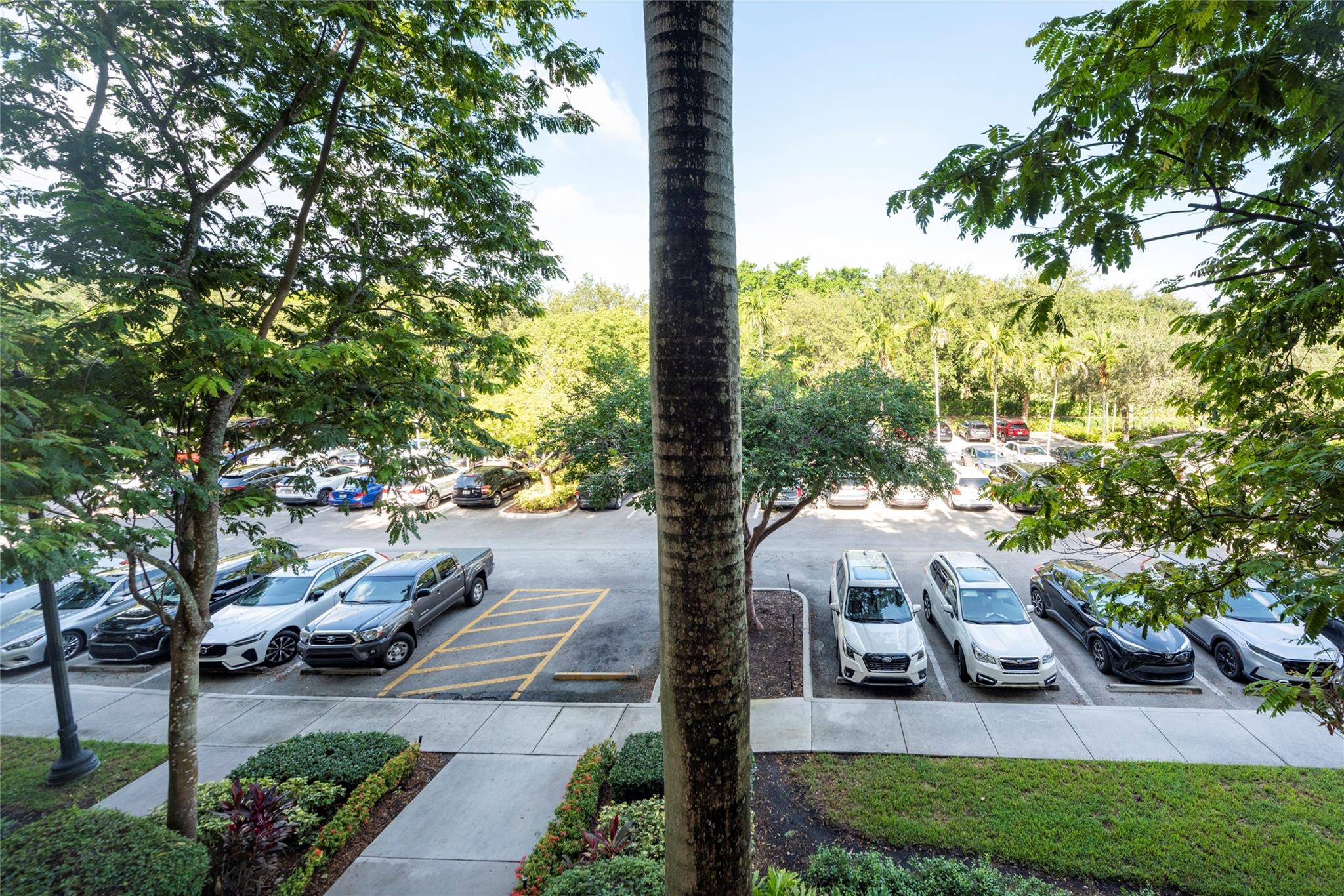 The Palms at Weston - Residential