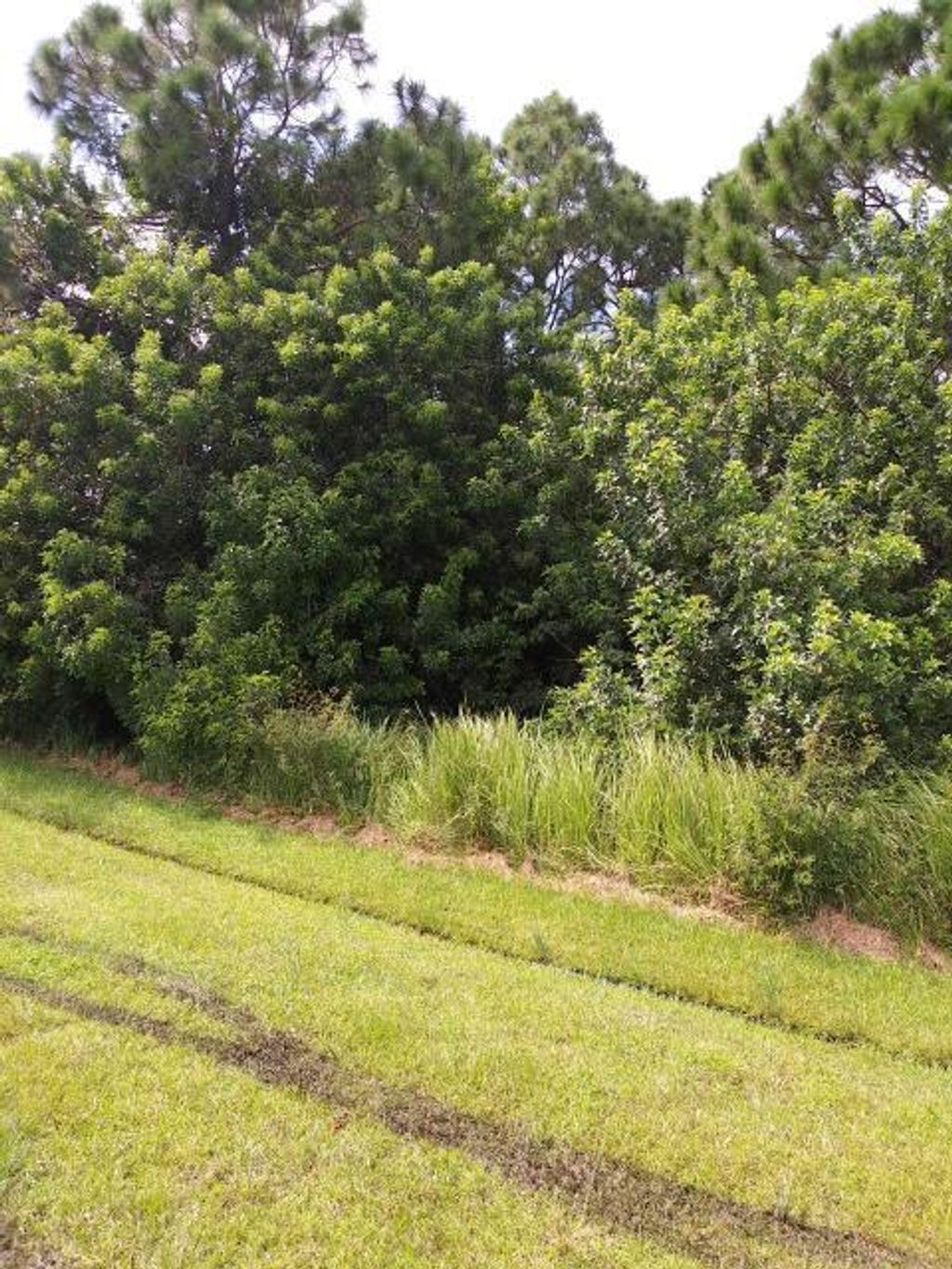 Photo of 6142 NW Hopkins Avenue, Port Saint Lucie, FL 34986 (MLS # R10686055)