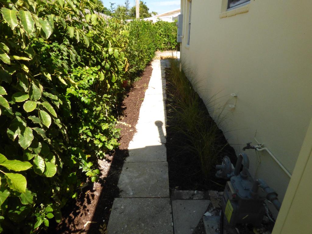 WILLFRED PARK - Residential