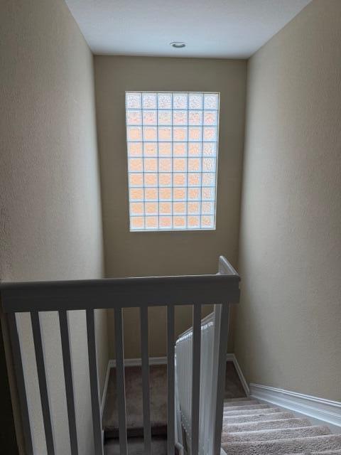 TERRACINA JOHNSON PROPERTY - Residential