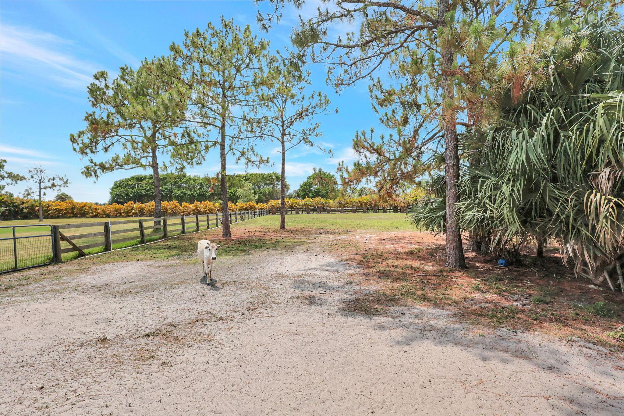 DEER RUN - Residential