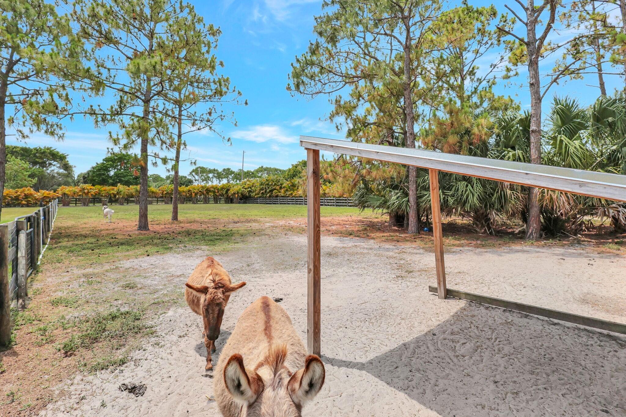 DEER RUN - Residential