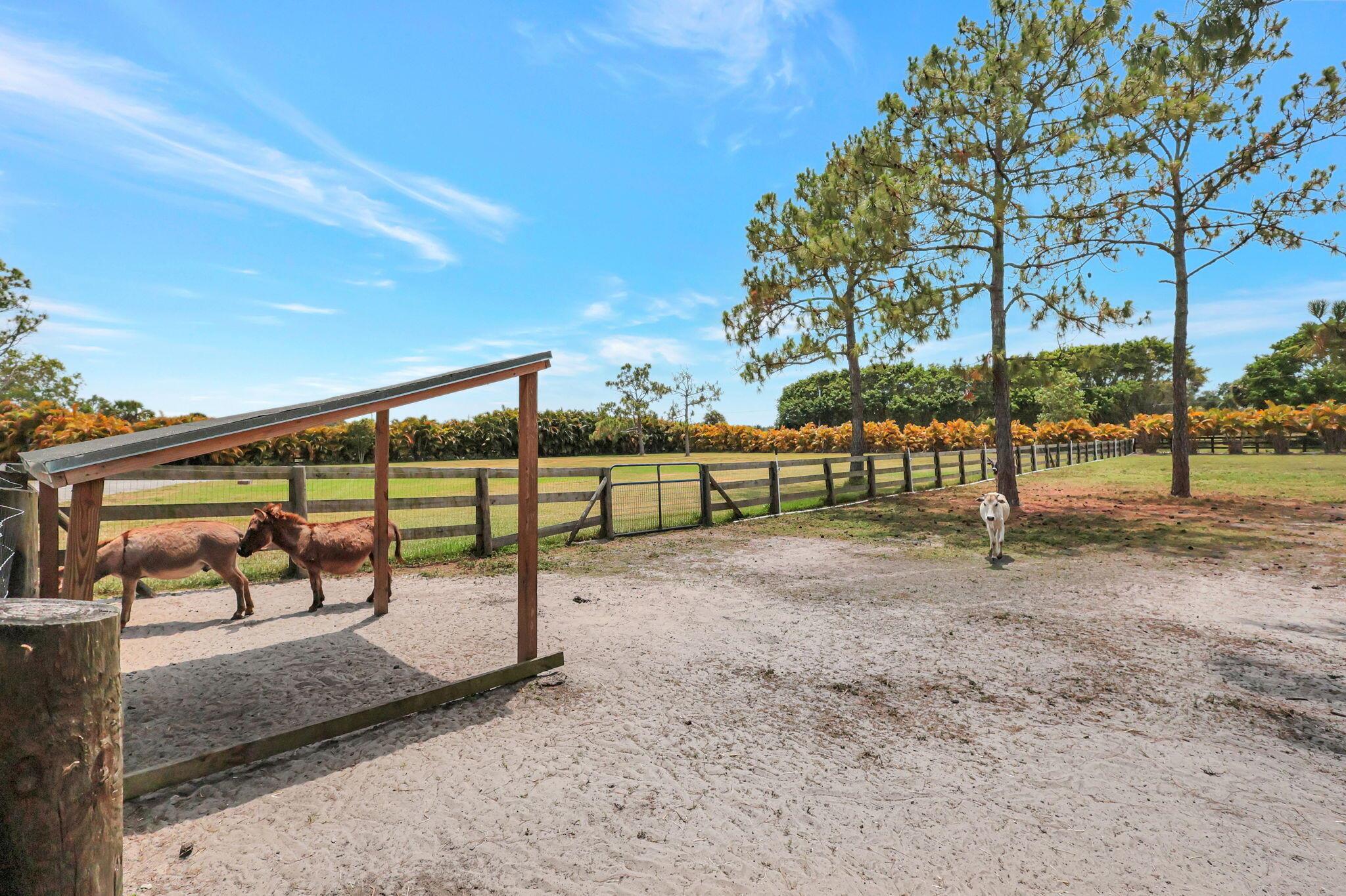 DEER RUN - Residential