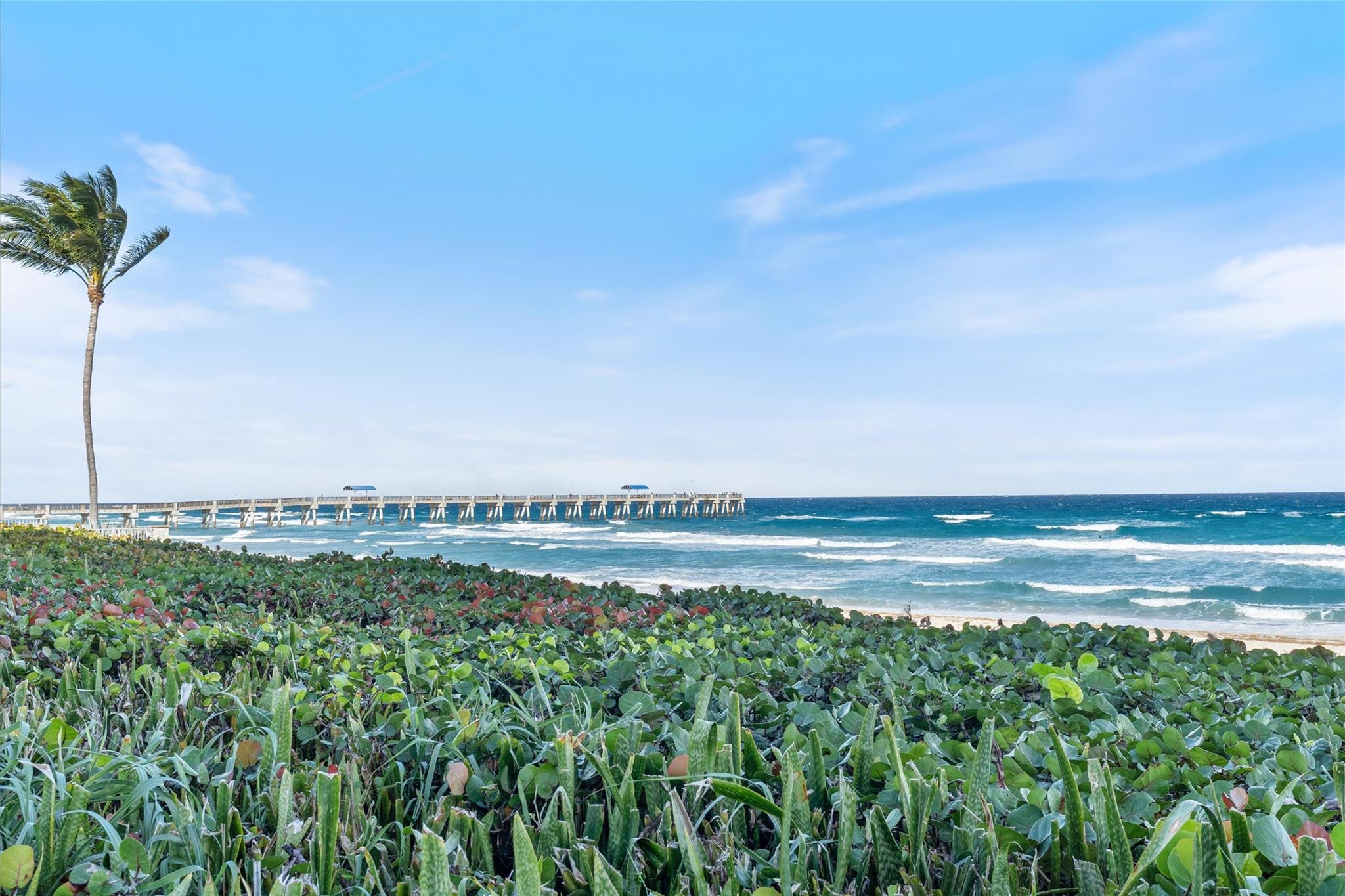 PALM BEACH HAMPTON CONDO - Residential