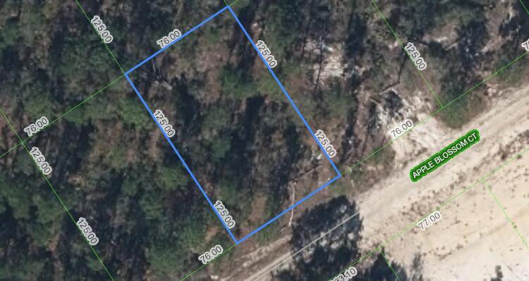 Explore the potential of this 9,500 square foot buildable lot located in Lake Placid, FL. This spacious parcel of land offers ample opportunity for creating your dream residential property. With plenty of space for customization and development, this lot is the perfect place to bring your vision to life in the inviting community of Lake Placid, FL. Whether you're considering building a cozy home or a tranquil retreat, this buildable lot is ready to help you realize your ideal living space.