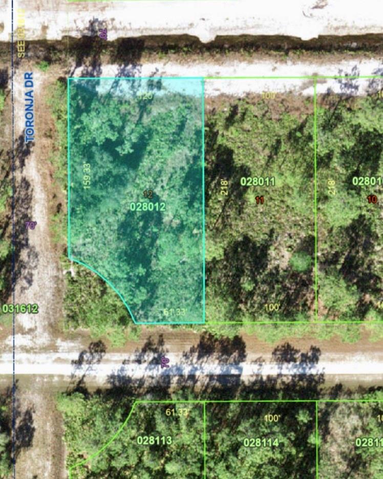 Build Your Dream Home in Scenic Indian Lake Estates. Discover the perfect blend of peace, privacy, and potential with this spacious 0.55-acre lot nestled in the tranquil community of Indian Lake Estates. Enjoy the serenity of nature without losing touch with convenience—this prime location offers easy access to Hwy 60 and Hwy 17, putting nearby cities and everyday amenities within easy reach. Outdoor lovers will appreciate the close proximity to beautiful Lake Weohyakapka, where you can spend your days fishing, boating, or simply soaking up the Florida sunshine. Whether you're dreaming of a cozy weekend getaway or a spacious forever home, this lot provides a blank canvas to bring your vision to life.