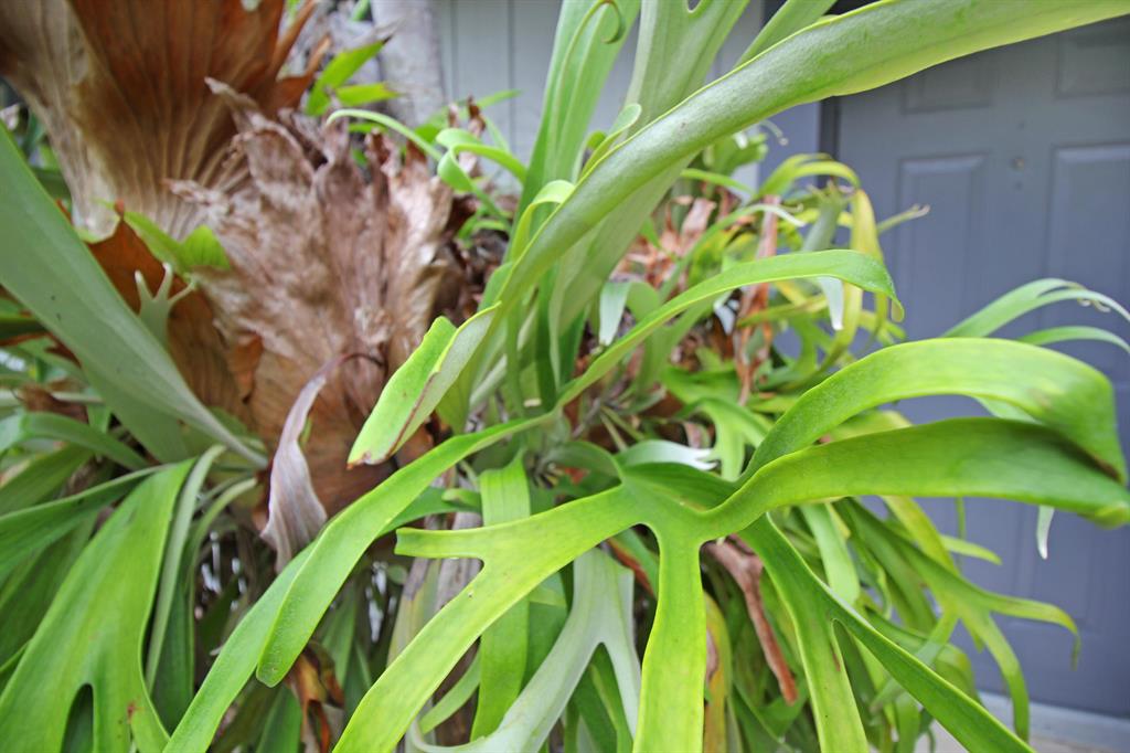 CYPRESS VILLAS - Residential