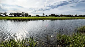 IBIS GOLF AND COUNTRY CLUB - HERONWOOD - Residential