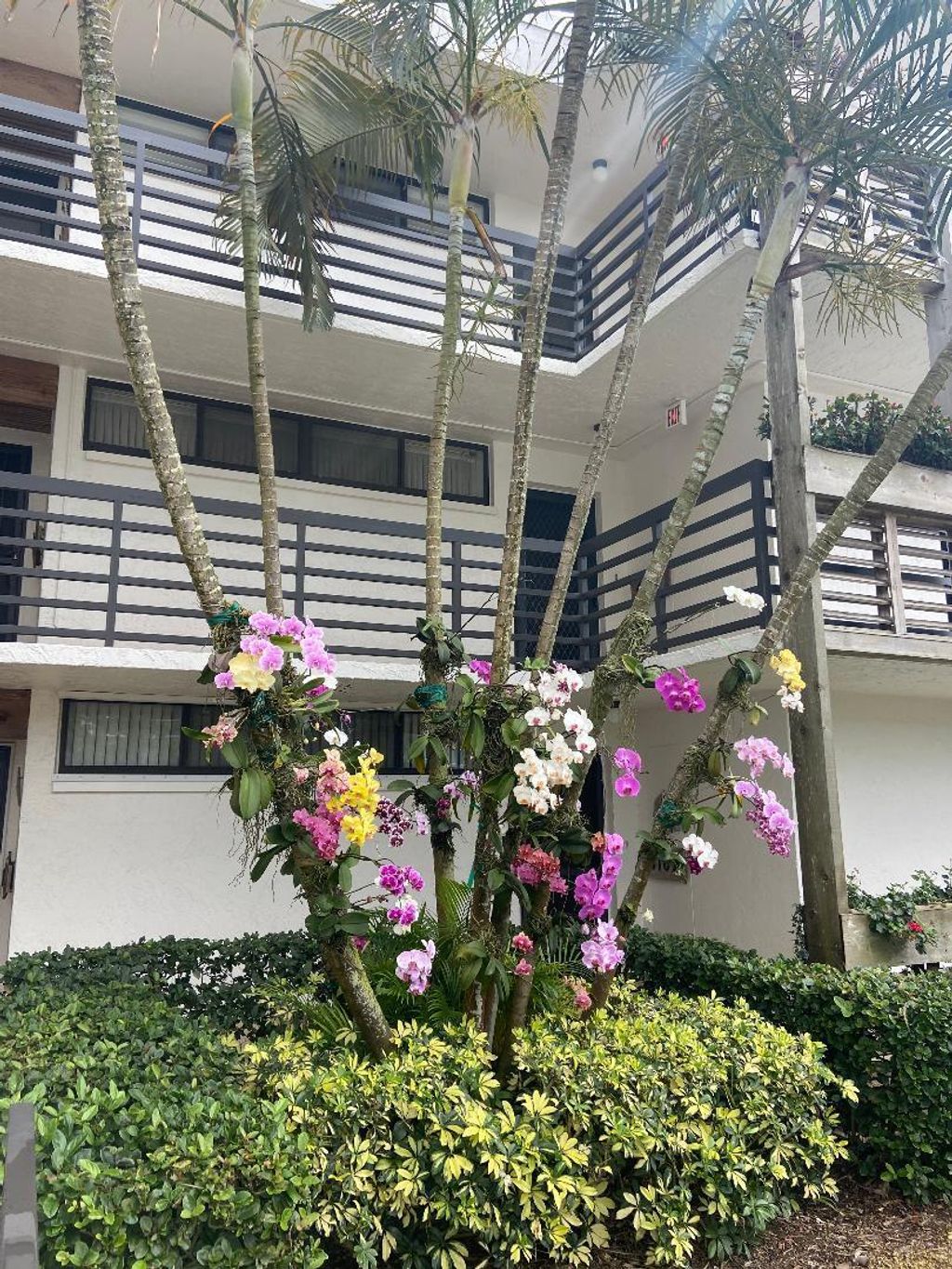 Photo of 1950 SW Palm City Road #6305, Stuart, FL 34994 (MLS # R10792401)