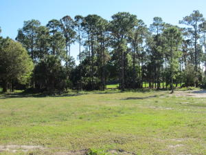 OLD PALM - Residential