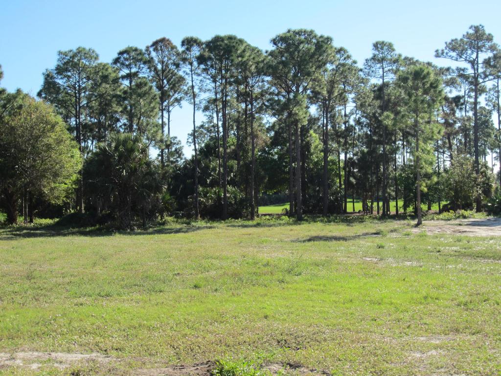 OLD PALM - Residential