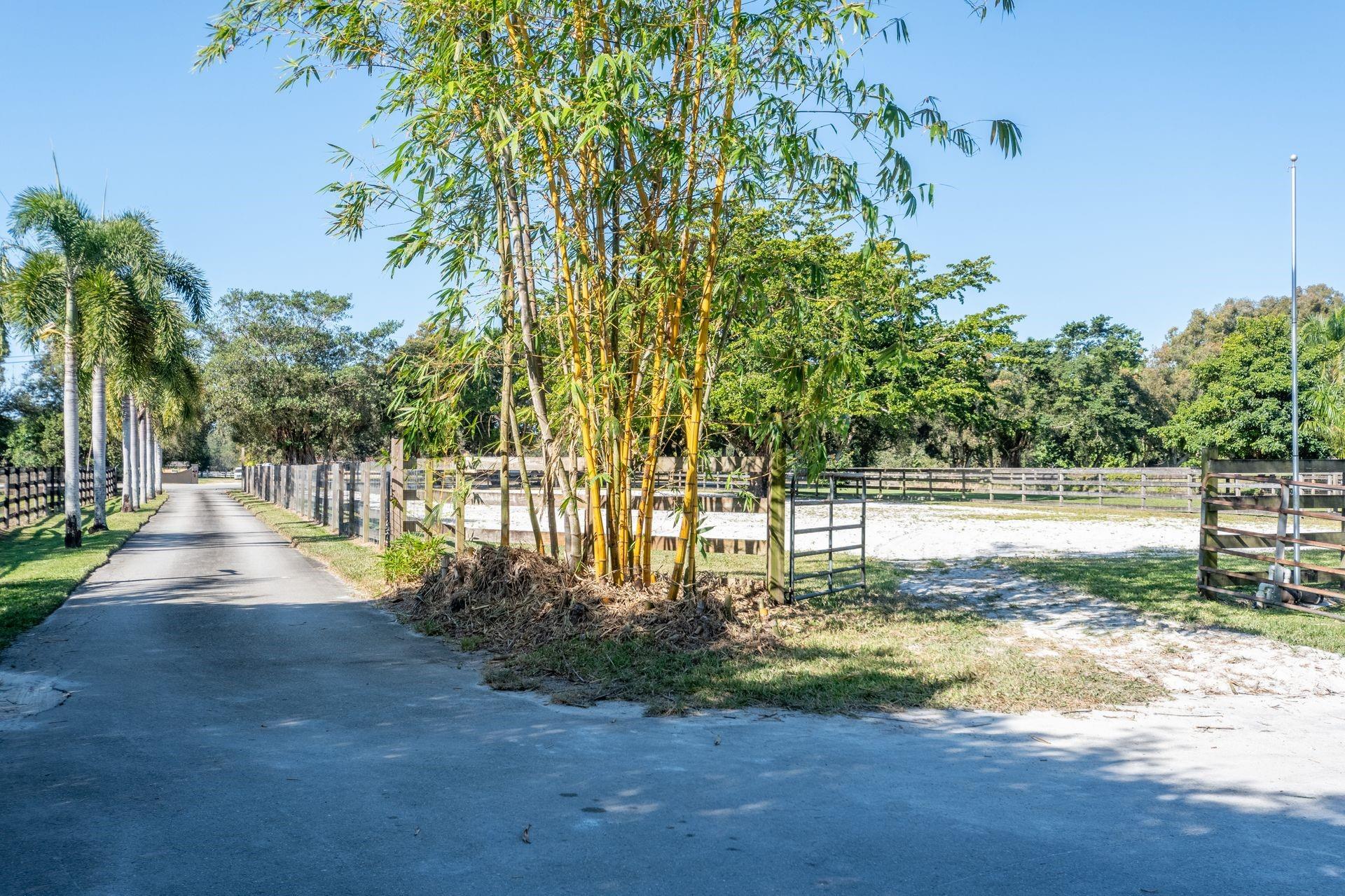 EVERGLADES SUGAR & LAND C - Residential