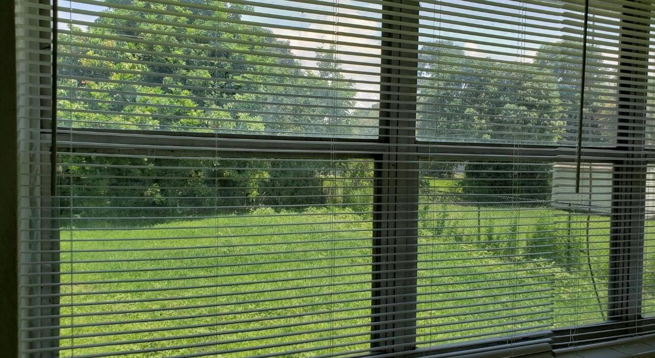 WALKERS SUB - Residential Lease