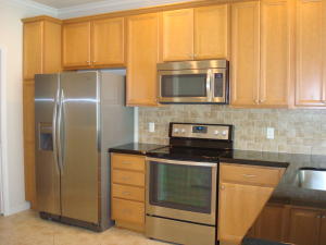 WINDSOR PARK AT ABACOA - Residential