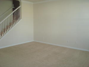 WINDSOR PARK AT ABACOA - Residential