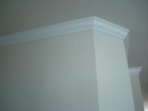 WINDSOR PARK AT ABACOA - Residential