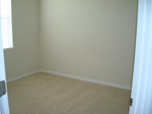 WINDSOR PARK AT ABACOA - Residential