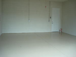 WINDSOR PARK AT ABACOA - Residential