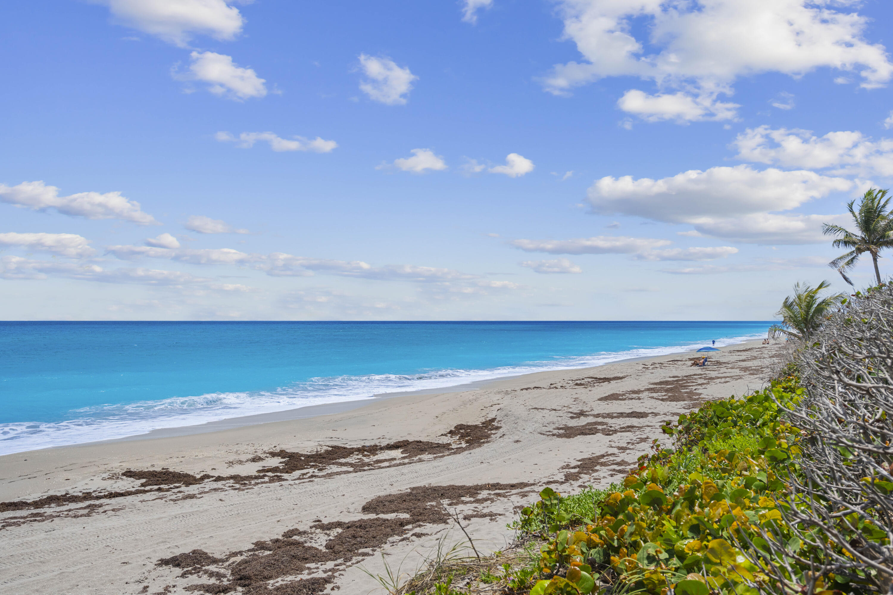 BRIGADOON CONDO - Residential Lease