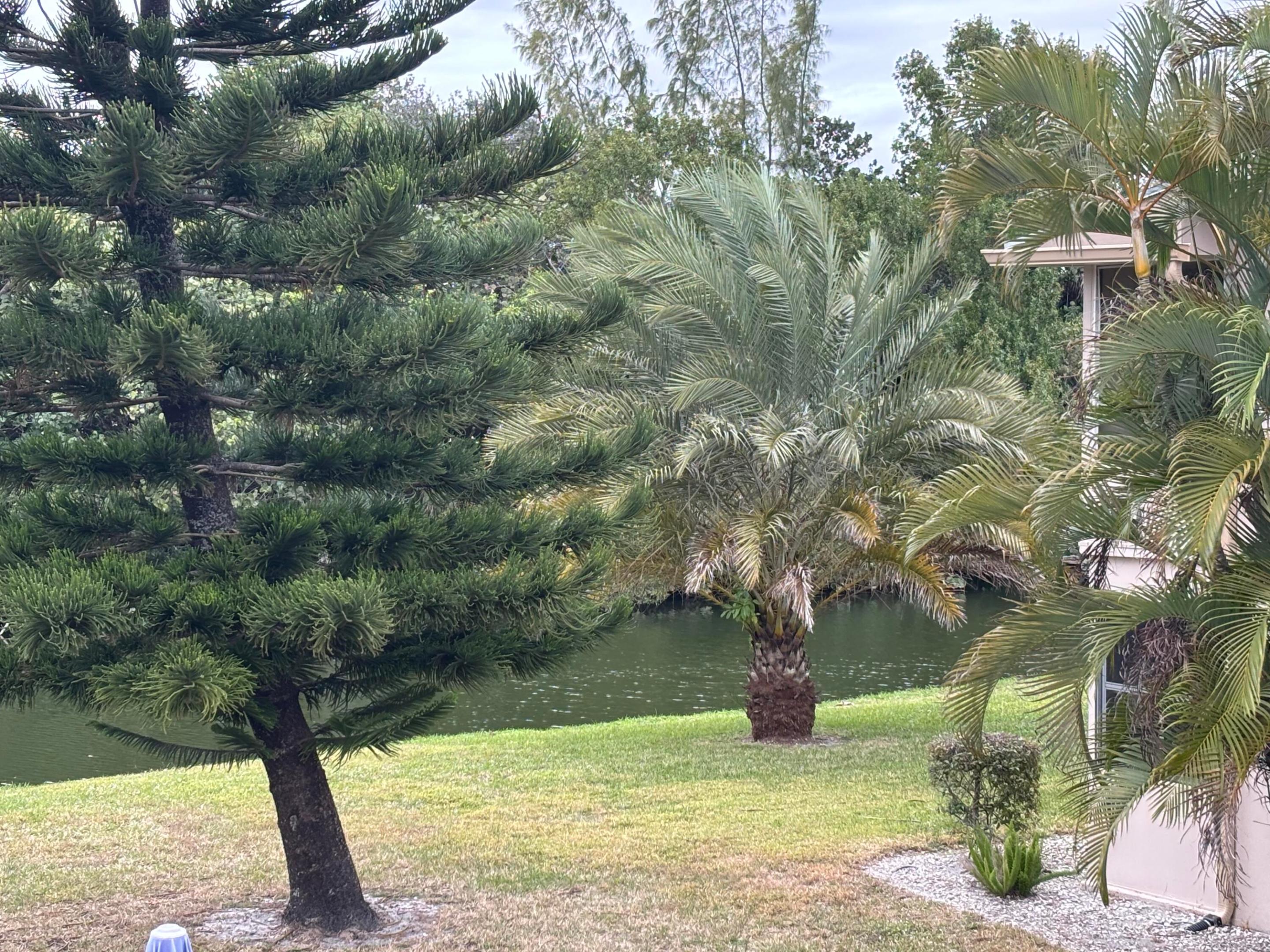 WINDSOR CONDOS - Residential Lease