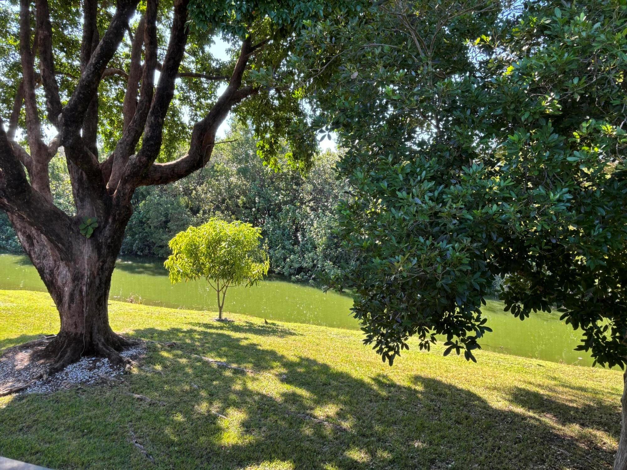 WINDSOR CONDOS - Residential Lease