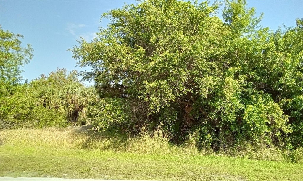 Photo of 1801 SE Mandrake Circle, Port Saint Lucie, FL 34952 (MLS # F10438495)