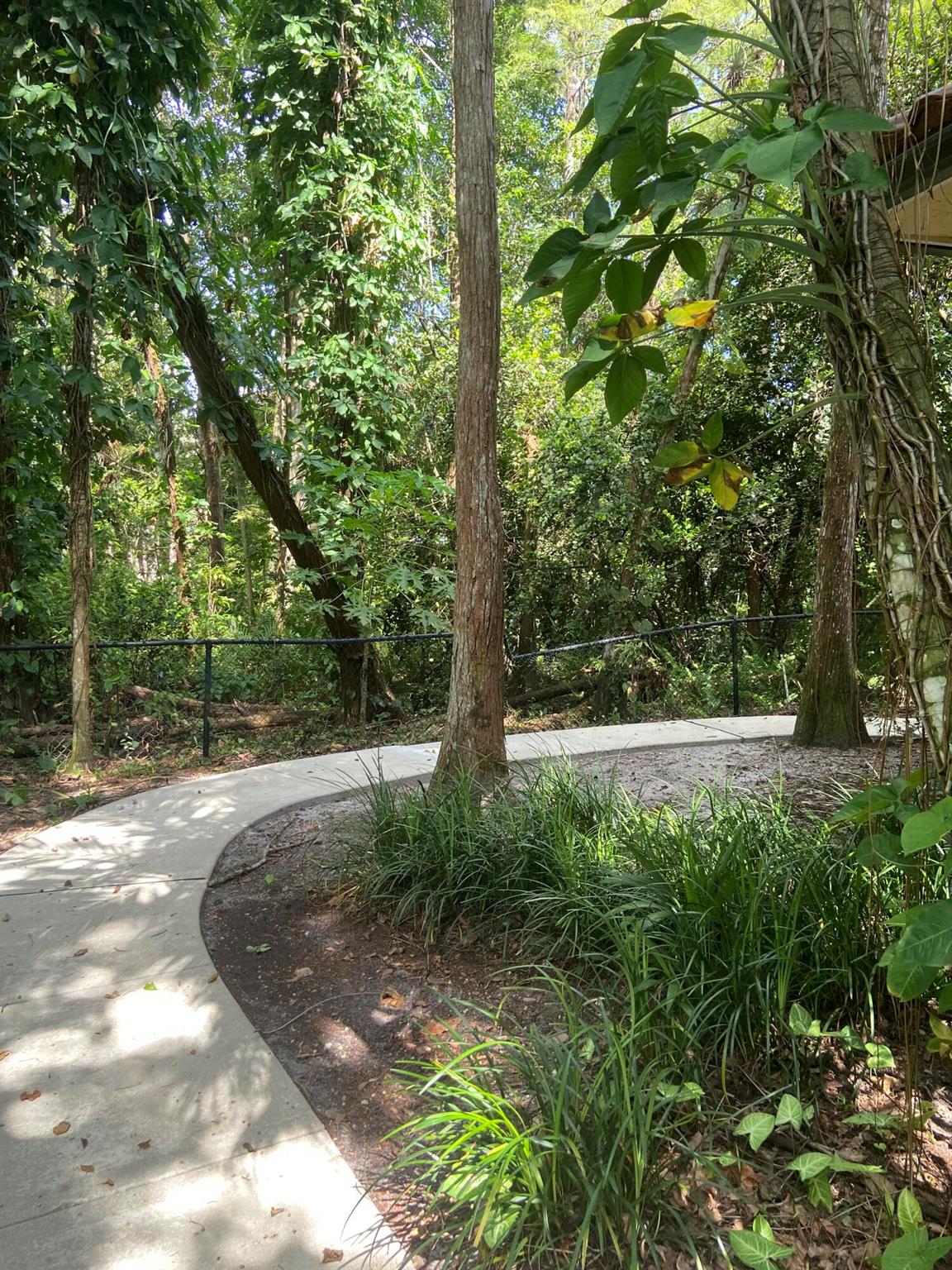Cypress Pointe - Residential Lease