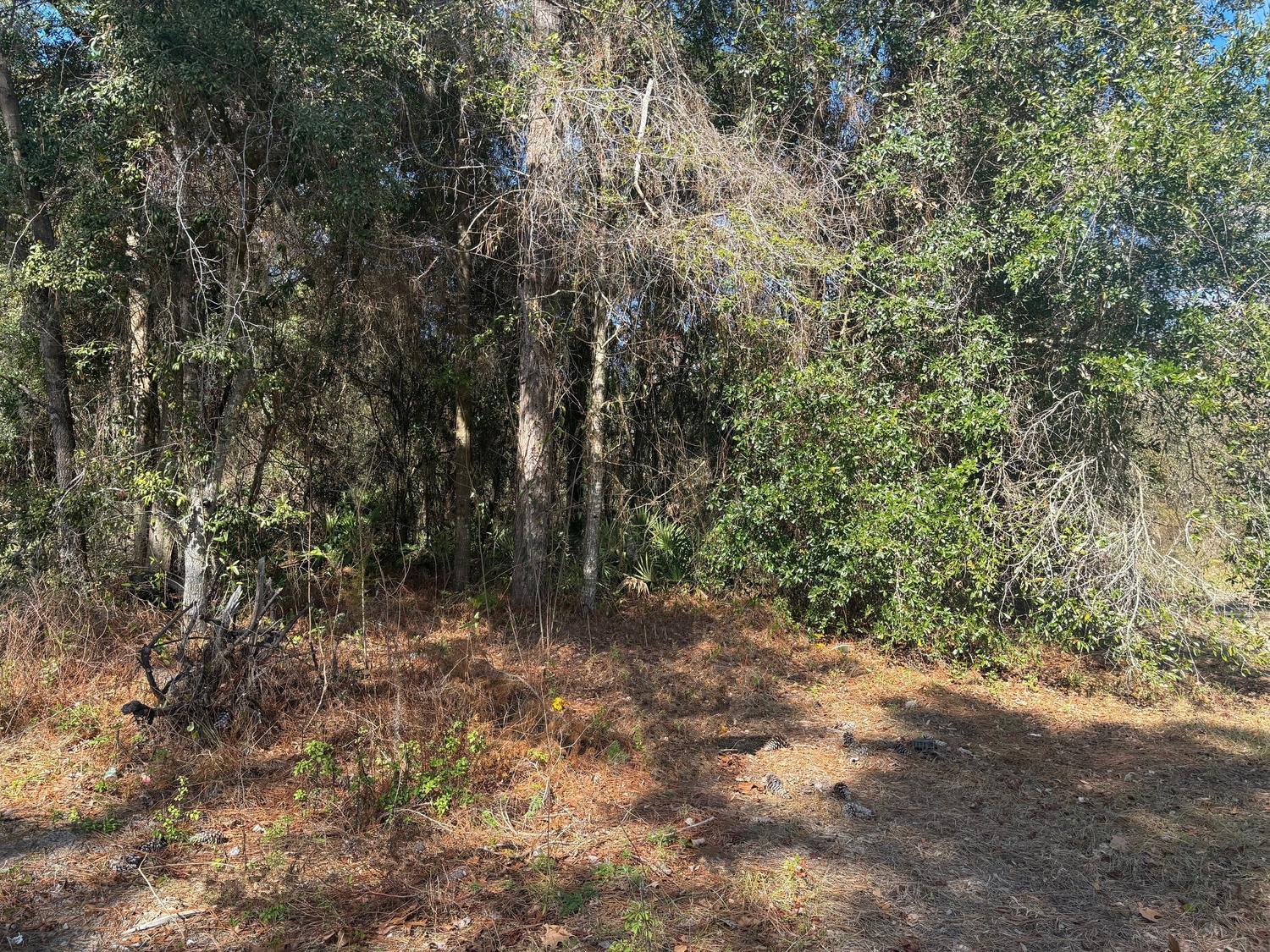 VILLA TERRACE U-8 OF HOMOSASSA - Land