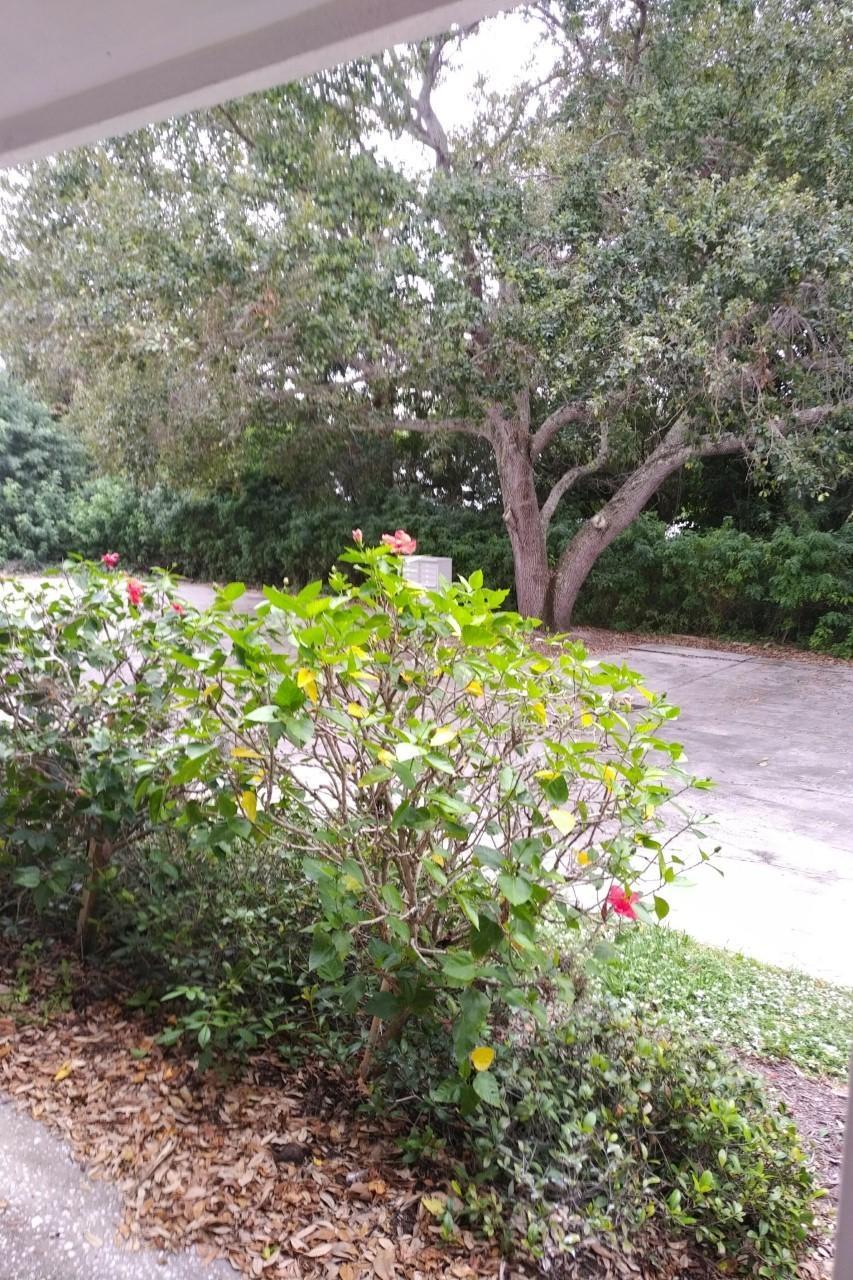 W A MARTIN - Residential Lease