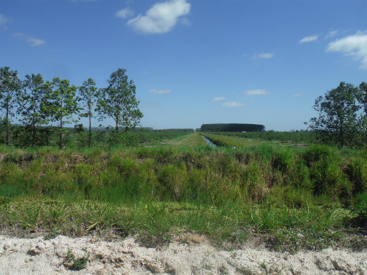 METES AND BOUNDS - Land